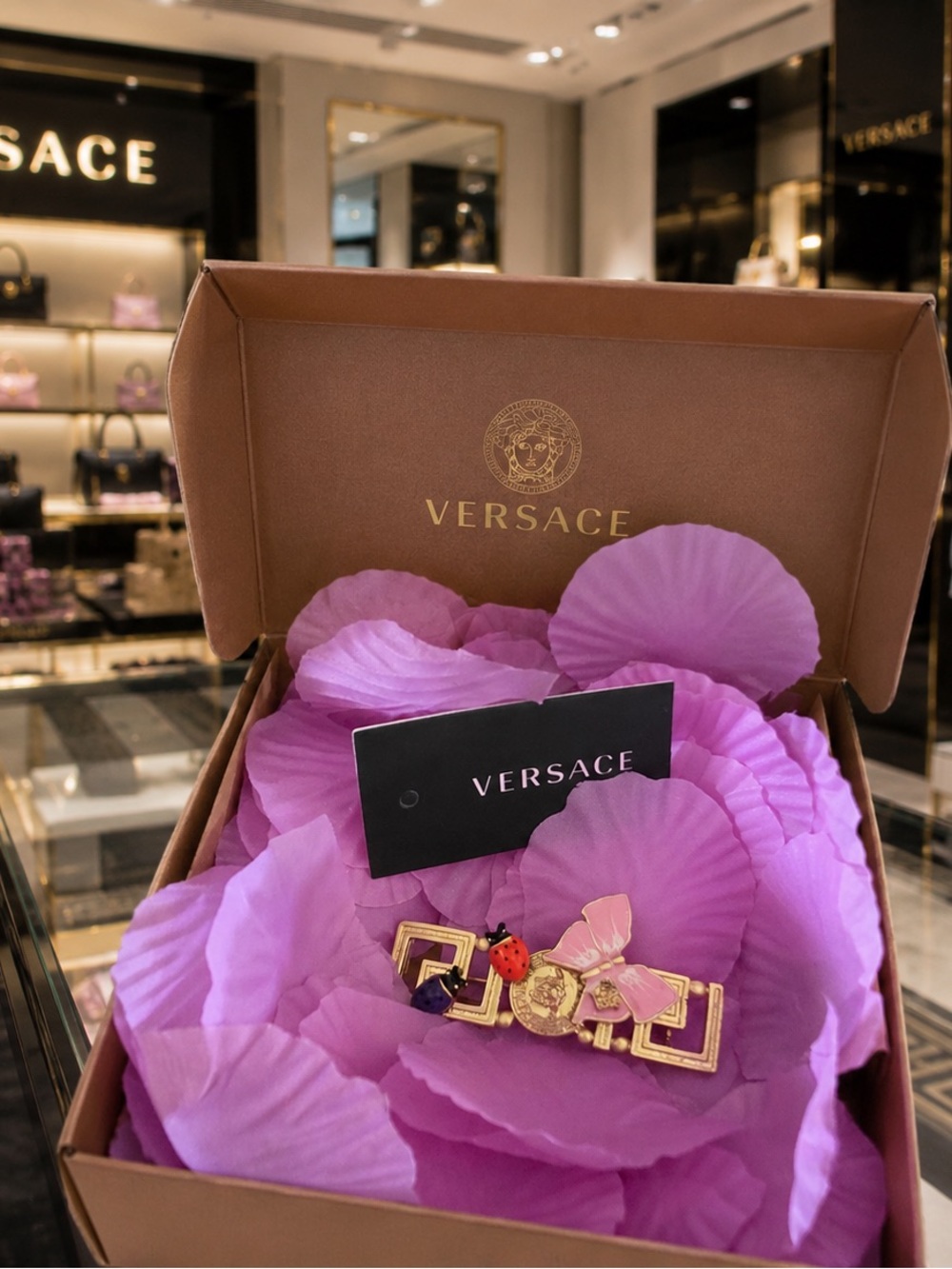 Versace and dua lipa Gold Tone Floral & Ladybug Enamel Brooch with Pink Accents